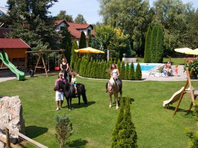 Pferde und Pool