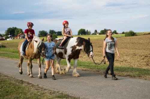Reiten