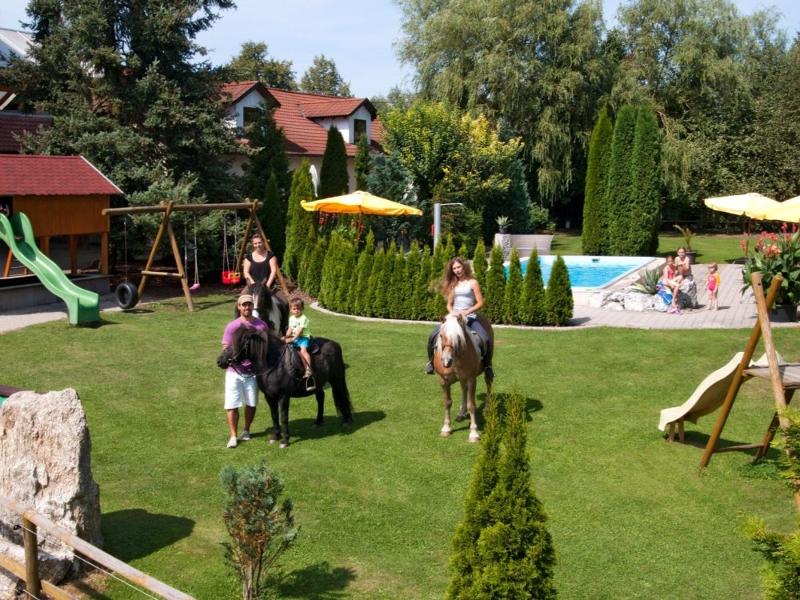 Pferde und Pool