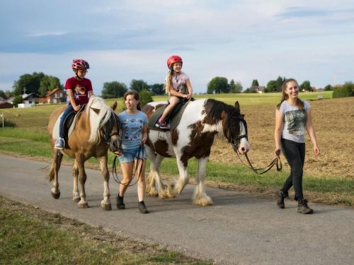 Reiten