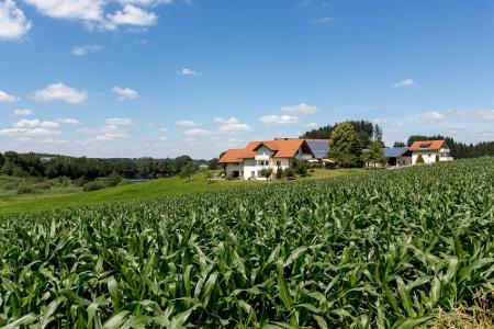 Blick auf Alfred´s Ferienbauernhof