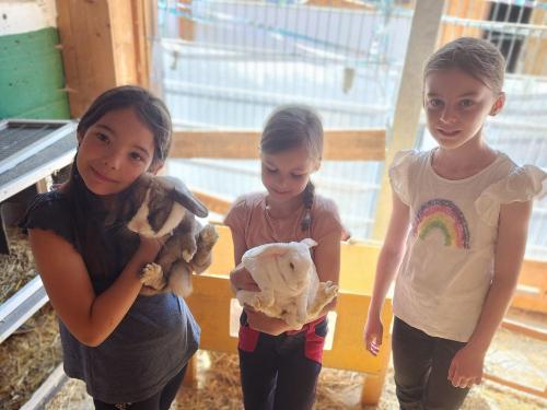 Das freut unser Kaninchen, Kinderkuscheln