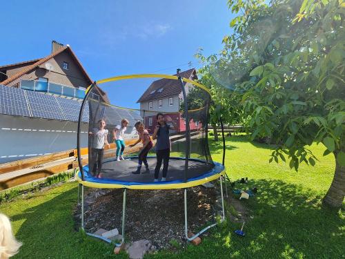 Charlotte, Mathilda, Leni und Veronika machen das Trampolin unsicher