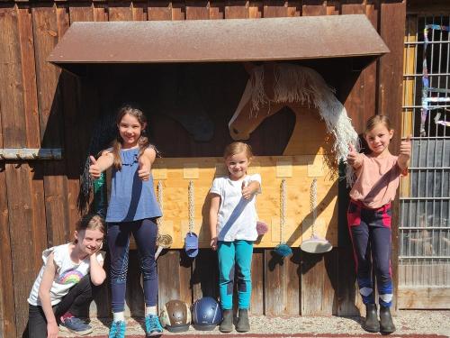 Alles rund ums Pferd wir auch gelernt