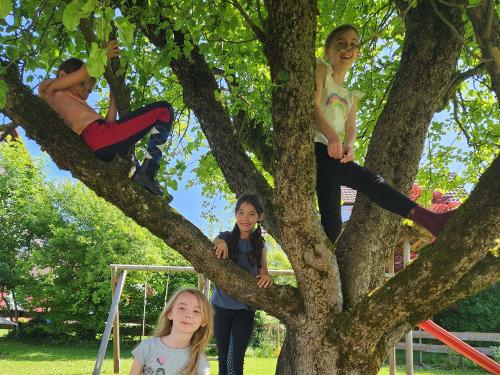 Klettern im Baum hat nicht nur früher Spaß gemacht