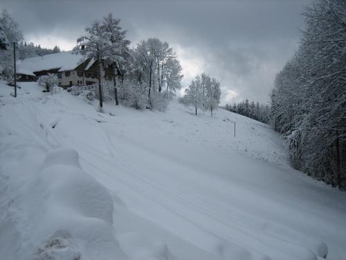 Der Hanselehof im Winter