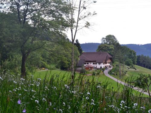 Hof in idyllischer Lage