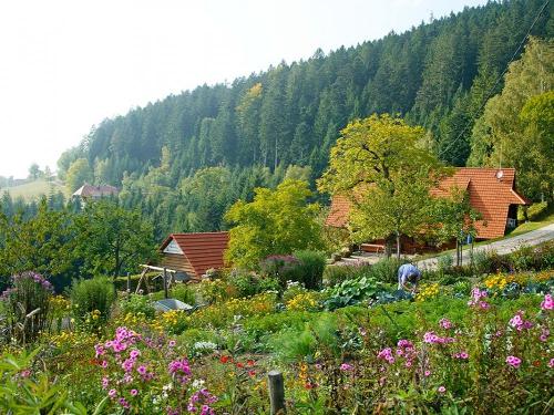 Der Garten im Sommer