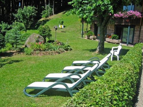 Die Liegewiese im Garten