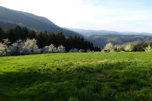 Wunderschöner Schwarzwald