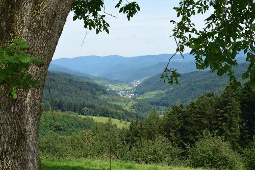 Panoramablick