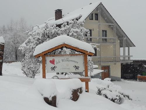 Löcherhansenhof im Winter