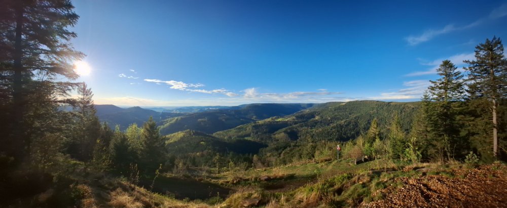 Hofansicht Hofansicht