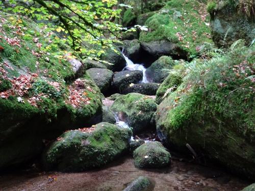 Schwarzwald - rauschende Bäche