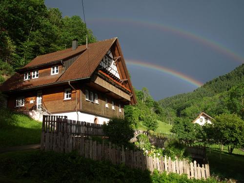 Regenbogen