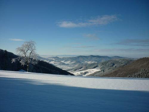 Ausblick vom Berg