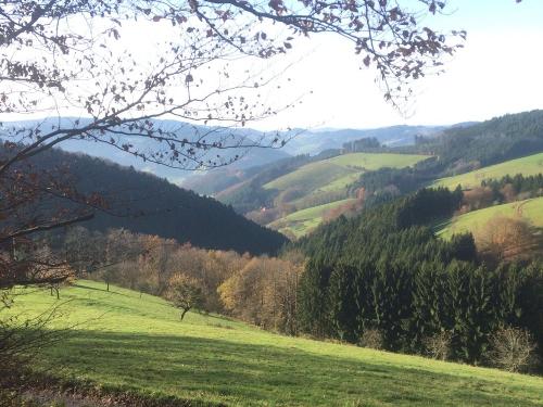 schwarzwaldberge