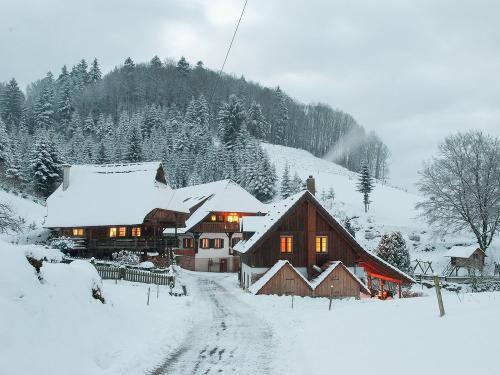hoferwachen