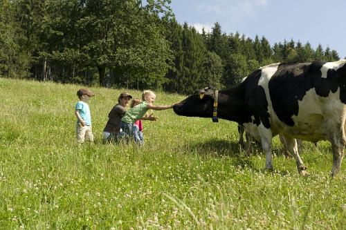 Sommertag