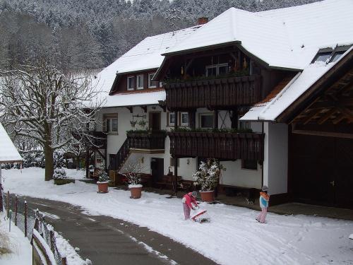 Winter
