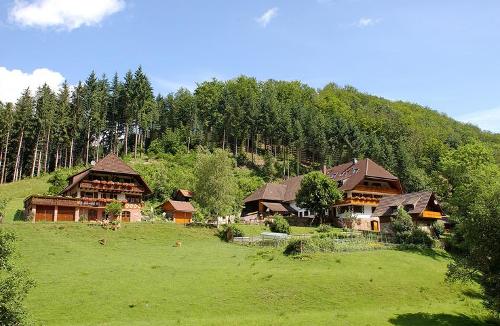 Hofbild 2