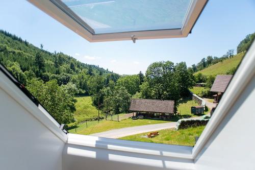ferienwohnung-bussard-08