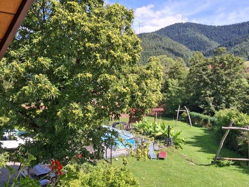 Außenbereich mit Spielplatz, Pool und Sitzgruppe