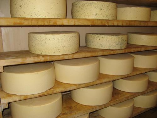 Ramsteinerhof Käse im Reiferegal