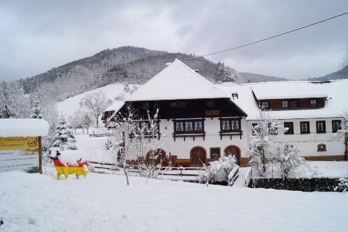 Ramsteinerhof Schneehof