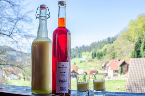 ramsteinerhof-hausach-kinzigtal-schwarzwald-159
