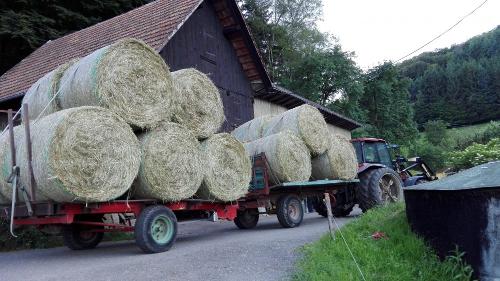Bei der Heuernte
