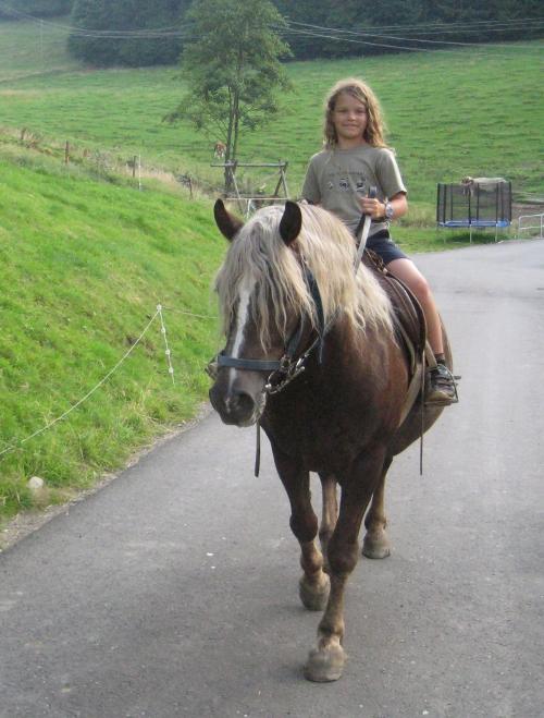 Familienfreundlicher Ferienhof