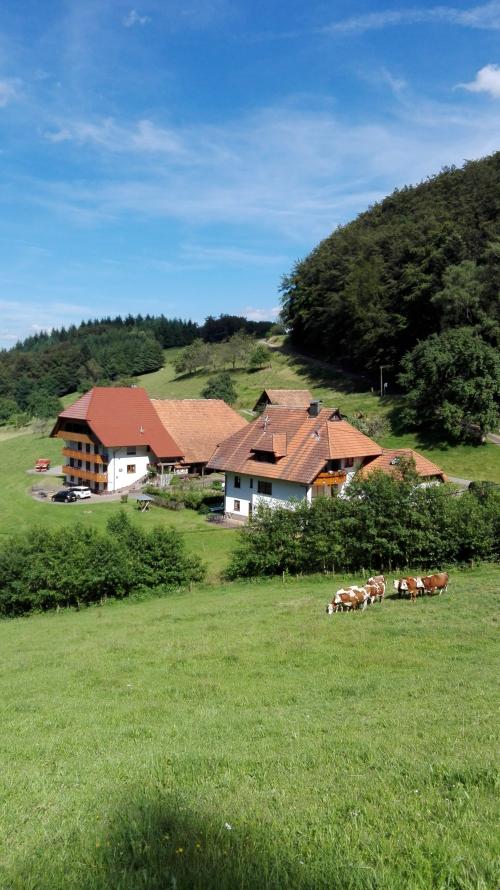 Willkommen auf dem Altrufenhof