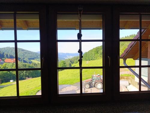 Ausblick von der Küche