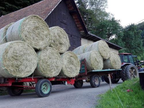 Bei der Heuernte