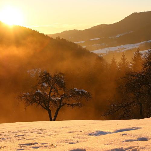 winter