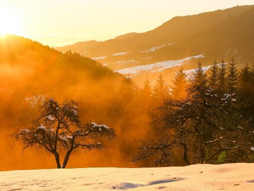 Lichtspiel im Schnee