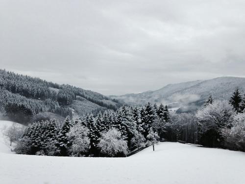 Schneelandschaft Kleingraben