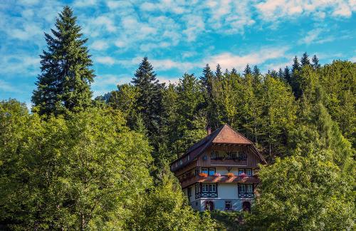Blick auf den Hof