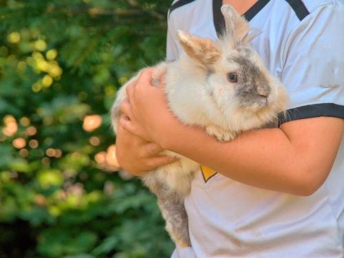 Unsere Tiere Unsere Tiere