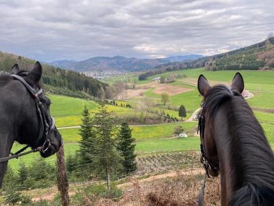 Blick ins Tal vom Pferderücken