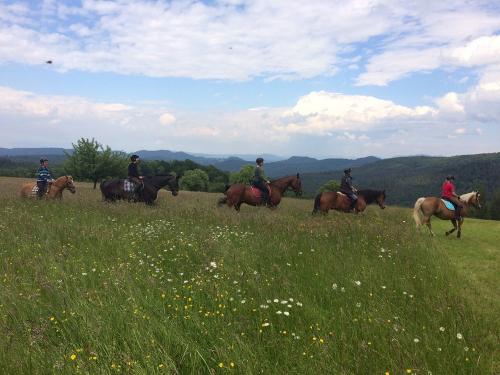 Ausreiten im Sommer