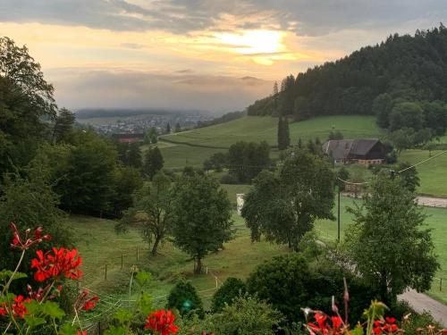 Blick von den Balkonen ins Tal