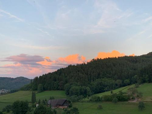 Blick ins Tal