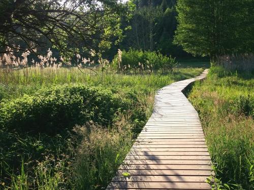 Wanderweg - Naturlehrpfad unterhalb vom Kempfenhof