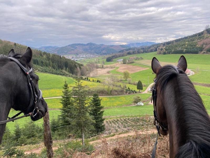 Blick ins Tal vom Pferderücken