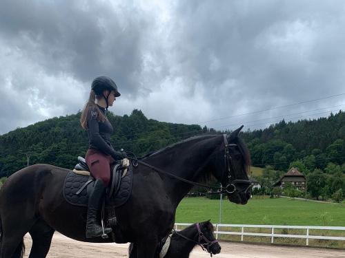 Klein gegen groß Klein gegen groß