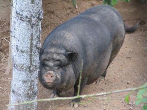 Unsere kleine Dicke Unsere kleine Dicke