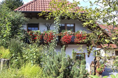 Ferienwohnung Wildeckli