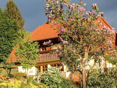 Haus Ferienwohnungen